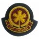 Cap Badges