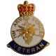 Lapel Pins