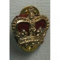 WO1 Badge
