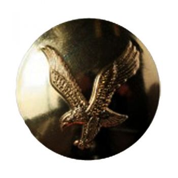 Metal Button 1