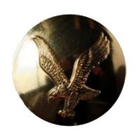 Metal Button 1